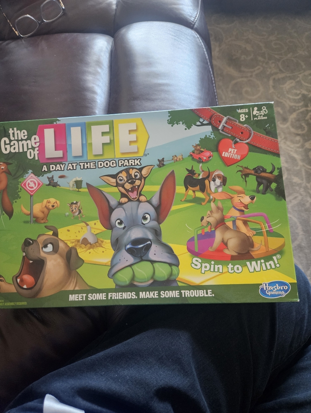 The Game of Life: A Day at the Dog Park - Kids Board Game (Green)
